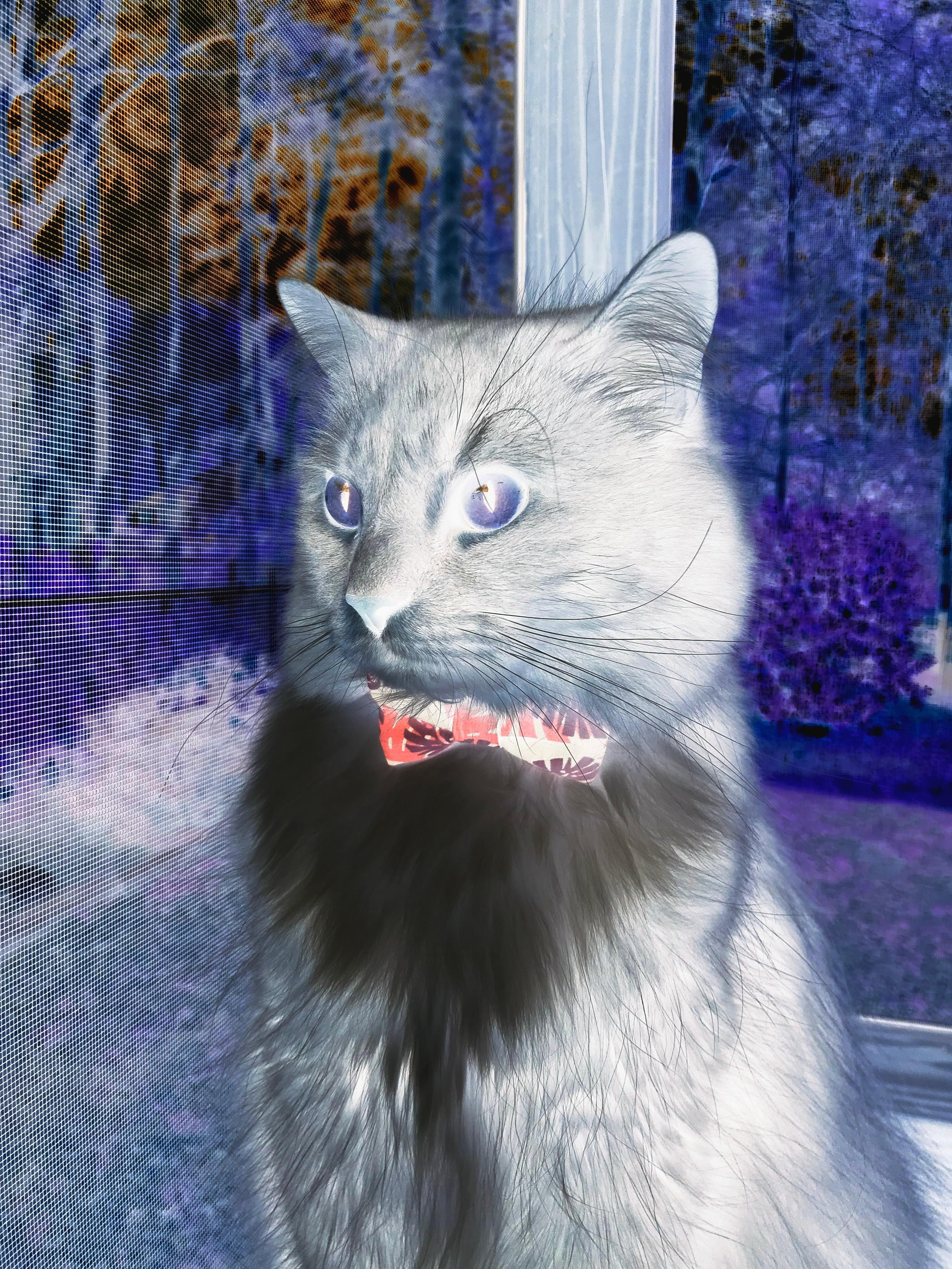 追踪调查:青训俱乐部的硬核培养方式,俱乐部青训队是什么