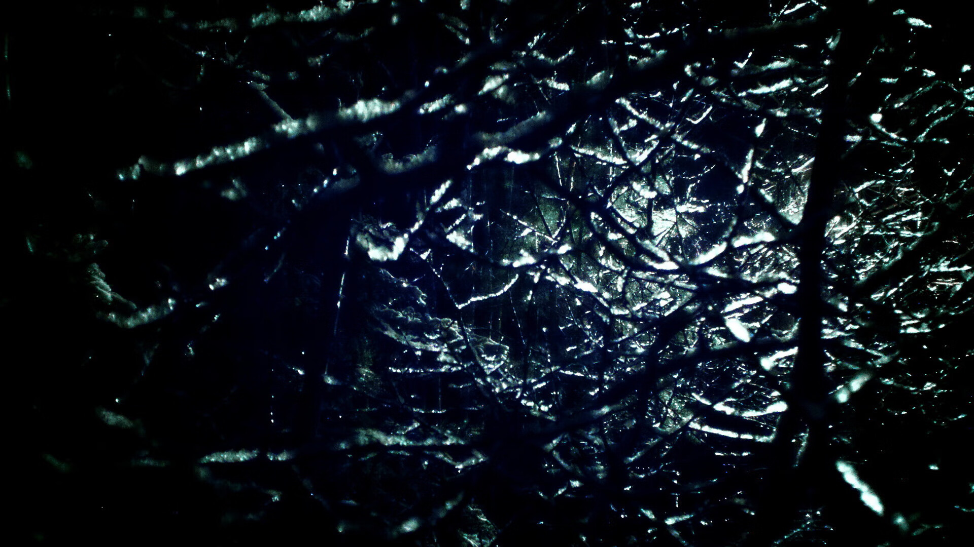 九游官网入口活动-中国香港队的未来计划：如何通过科学训练提高竞技水平，香港队比赛