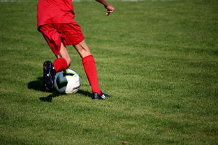 九游官网入口活动-内线球员在快节奏体系下的功能性演变，内线球员的主要作用