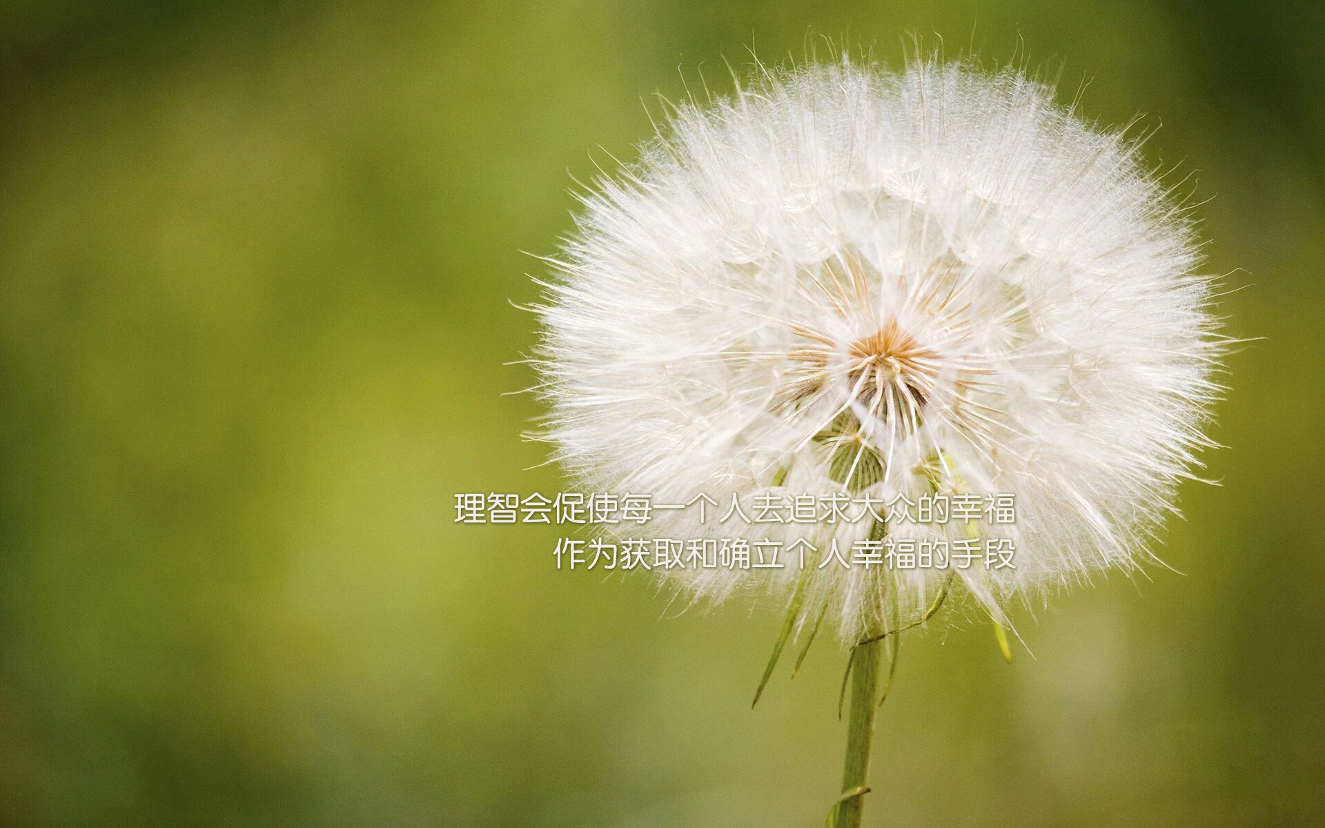 冰壶世界杯中国队全胜晋级淘汰赛,冰壶世锦赛2021直播