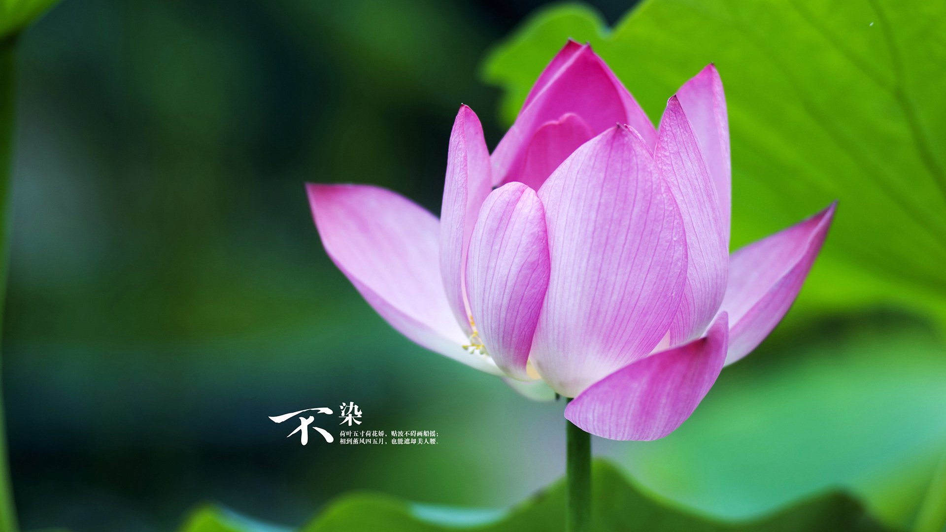 九游娱乐下载-职业球员技术与转型路径未形成梯队标准，职业球员的素养