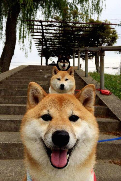 东契奇开场连得十分帮助独行侠建立优势，东契奇46分独行侠轻取鹈鹕