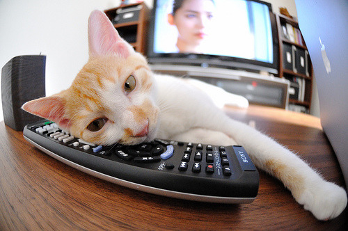 中国蛙王覃海洋决赛亮相，覃海洋200米蛙泳